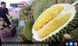 Durian Bikin Panik, Polisi dan Damkar Sampai Turun Tangan - JPNN.com