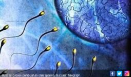 Khusus Pria Dewasa, ini 6 Cara Membuat Sperma Berkualitas - JPNN.com