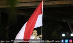 Merdeka! Megawati Usung Djarot untuk Pilgub Sumut - JPNN.com