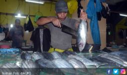 Pabrik Pengelolaan Ikan di Pulau Kecil Minta Perhatian Pemerintah - JPNN.com