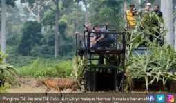 Hutan Sangat Strategis Menunjang Kecakapan Prajurit TNI - JPNN.com