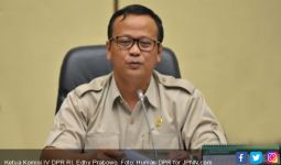 Edhy Prabowo Penggemar Berat Nangka - JPNN.com