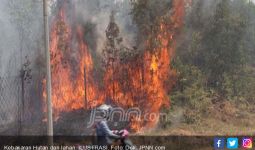 Kebakaran Hutan Berpotensi Terjadi di Kalteng - JPNN.com