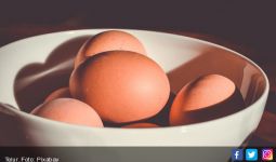 Haruskah Menyingkirkan Kuning Telur Saat Diet? - JPNN.com