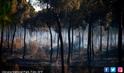 Hutan Kota Terbakar, 1.800 Warga Dievakuasi - JPNN.com