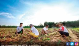 Seperti ini Pencapaian 3 Tahun Sektor Pertanian Era Jokowi JK - JPNN.com