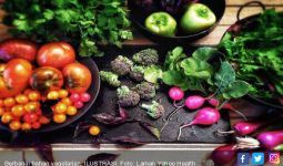 Diet Vegetarian Ternyata Dua Kali Lebih Efektif Menurunkan Berat Badan - JPNN.com