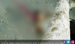 Berita Duka: Linda dan Anak Balitanya Tertimpa Pohon Durian - JPNN.com