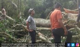 Bunuh Diri di Pohon Beringin, Jasad Sulit Diturunkan, Akhirnya... - JPNN.com