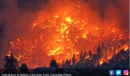Kebakaran Lahan Besar, British Columbia Darurat - JPNN.com