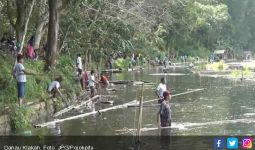 Belerang di Dasar Danau Klakah Naik, Ribuan Mati - JPNN.com