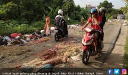 Kurang Ajar! Pengusaha Sengaja Sebar Limbah Ayam di Tengah Jalan - JPNN.com