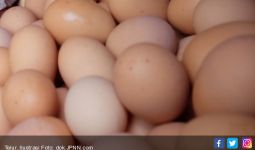 10 Manfaat Telur Rebus yang Tidak Terduga, Bikin Wanita Ketagihan Mengonsumsinya - JPNN.com