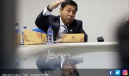 Golkar Anggap Kemenangan Novanto Bersifat Individu - JPNN.com