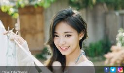 Personel Twice Ini Disebut K-Pop Idol Tercantik, Setuju? - JPNN.com