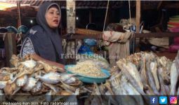 Sering Makan Ikan Asin Bisa Picu Penyakit Kanker? - JPNN.com