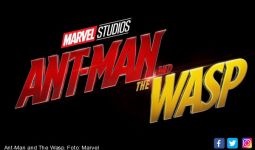 Ant-Man dan The Wasp, Duet Superhero Serasi - JPNN.com