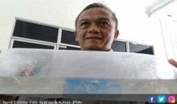 Polisi Gagalkan Penyeludupan Benih Lobster Senilai Rp 1,3 Miliar - JPNN.com