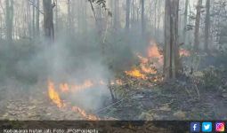 Gara-Gara Puntung Rokok, 18 Hektar Hutan Jati Terbakar - JPNN.com