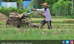 Kementan: Petani adalah Pelaku Utama Pembangunan Pertanian - JPNN.com