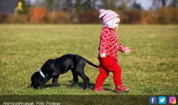 Terapi Anjing Bisa Membantu Anak-anak Penderita Kanker - JPNN.com