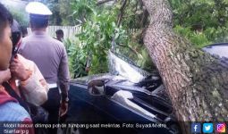 Pohon Tumbang Hantam Mobil hingga Remuk, Penumpangnya, Ya Ampun… - JPNN.com