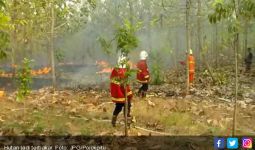 Kebakaran Hutan Jati Makin Meluas, Jadi 20 Hektar - JPNN.com