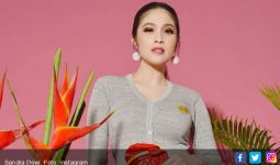 Sandra Dewi Kembali Sindir Haters, Ada Apa? - JPNN.com