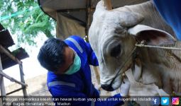 Di Bekasi Minim Dokter untuk Periksa 26 ribu Hewan Kurban - JPNN.com