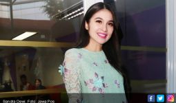 Sandra Dewi Lahirkan Bayi Laki-laki - JPNN.com