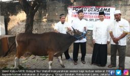 Wakil Ketua MPR Serahkan Sapi kepada Korban Kebakaran Kebayoran Lama - JPNN.com