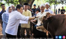 DPR Sembelih 5 Ekor Sapi - JPNN.com