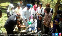 Pengambilan Tanah dan Air dari Bawah Pohon Beringin Bogor - JPNN.com
