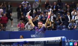 Wow! Taklukkan Federer, Del Potro Tantang Nadal di Semifinal - JPNN.com