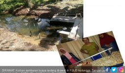 Diterkam Buaya, Ibu Rumah Tangga Diseret ke Sungai - JPNN.com