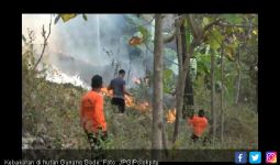 Hutan Gunung Gede Terbakar 10 Hektar - JPNN.com