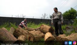 Pembalakan Liar Bikin Rusak Hutan Seruyan - JPNN.com