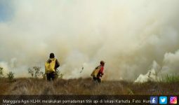 Karhutla di Riau Capai 4.376 Hektare, Polda Tetapkan 20 Tersangka Perorangan - JPNN.com