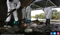 Sampah Popok di Sungai Ancam 25 Spesies Ikan - JPNN.com
