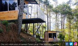 Sensasi Tidur di Rumah Pohon di Taman Langit dan Omah Kayu - JPNN.com