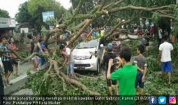 Gubrak! Mobil Tertimpa Pohon Tumbang, Bocah 8 Tahun Selamat - JPNN.com