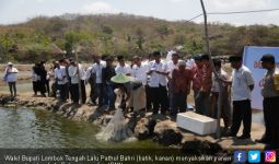 Penghasilan Petambak di Lombok Tengah Bisa 20 Juta per Bulan - JPNN.com