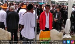 Presiden Jokowi Diam-diam Belajar jadi Peternak - JPNN.com