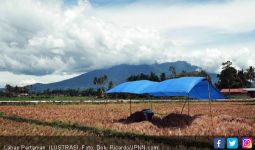 Potensi Pertanian di Kabupaten Bekasi Masih Tinggi - JPNN.com