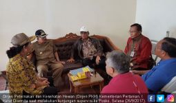 Dirjen PKH Inspeksi untuk Cegah Dampak Erupsi Gunung Agung - JPNN.com