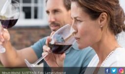 Khusus Wanita, Berhentilah Minum Alkohol Agar Mental Anda Sehat - JPNN.com