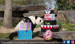 Tiongkok Usut Kematian Panda Chuang Chuang di Thailand - JPNN.com