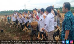 Kementan Panen dan Tanam Jagung Serentak di Serang - JPNN.com
