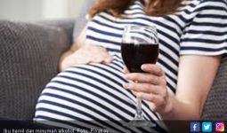 Dampak Fatal Minum Alkohol bagi Wanita Hamil dan Janin - JPNN.com