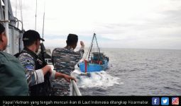 Vietnam Akui Nelayannya Banyak Mencuri Ikan di Indonesia - JPNN.com